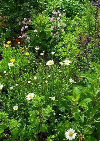 Zur Alten Schreinerei *