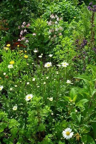 Zur Alten Schreinerei *